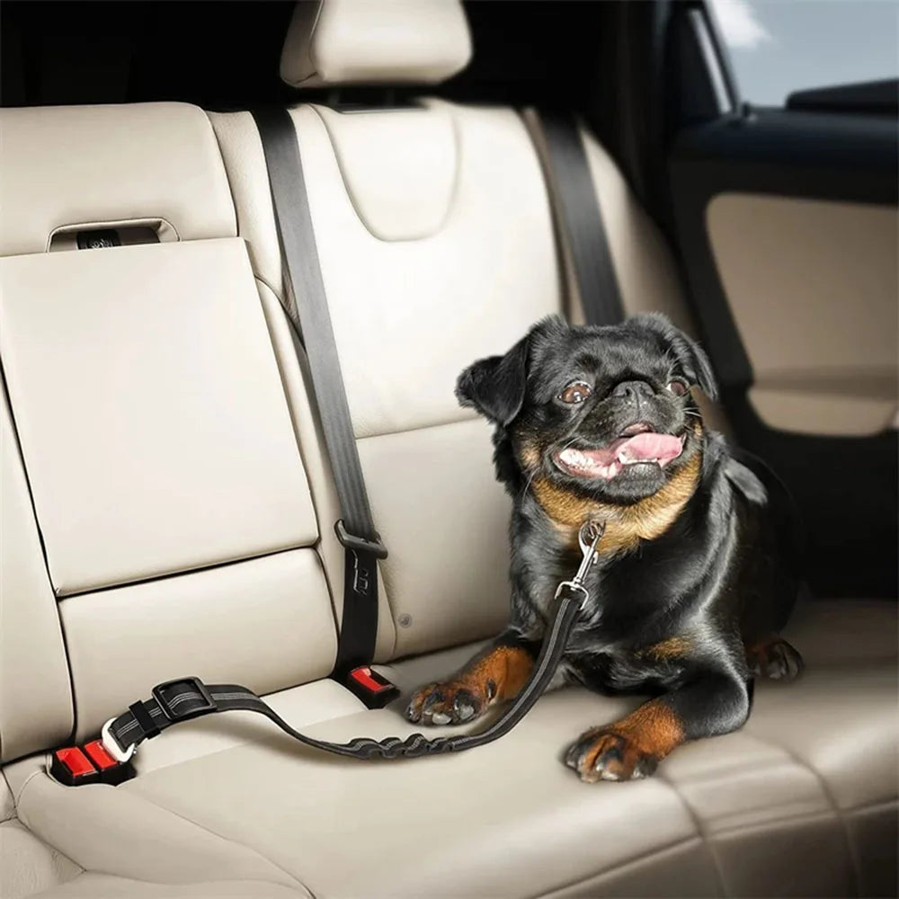 Cinto de Segurança Automotivo Elástico para Cães YOUSE - Ajustável, Refletivo e Anti-Impacto