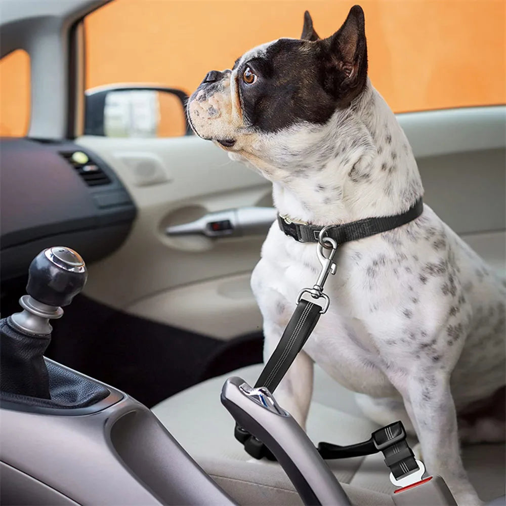 Cinto de Segurança Automotivo Elástico para Cães YOUSE - Ajustável, Refletivo e Anti-Impacto